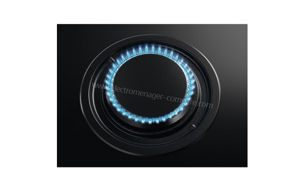 AEG HKB75453NB - Zoom sur le foyer Rapide