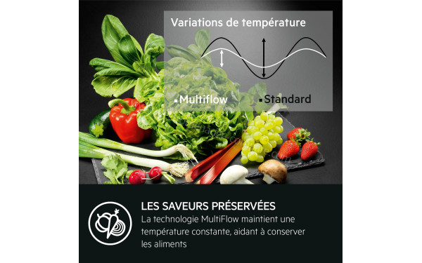 AEG NSC6M18FES - Technologie MultiFlow