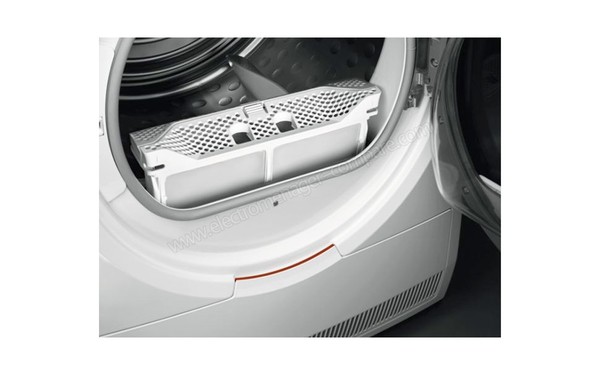 AEG T8DED954E - Vue (n&deg;2) du filtre (cr&eacute;dit : Darty)