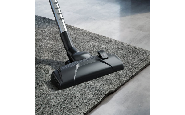 AEG VX4-1-GM-T - Vue de la brosse principale