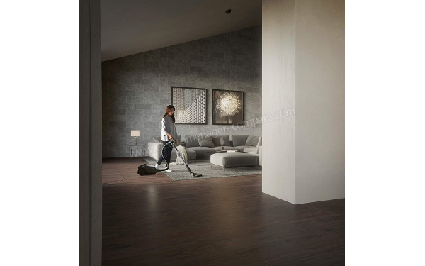 AEG VX82-1-OKO - Mise en situation