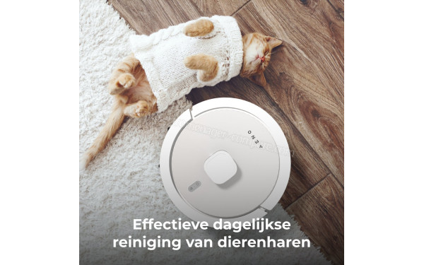 AENO RC4S - Nettoyage quotidien efficace des poils d'animaux