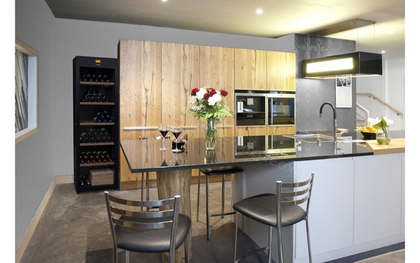 AVINTAGE DVP265G - Mise en situation