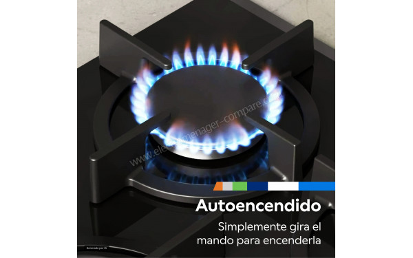 BALAY 3ETX565CB - Zoom sur le foyer &agrave; gaz