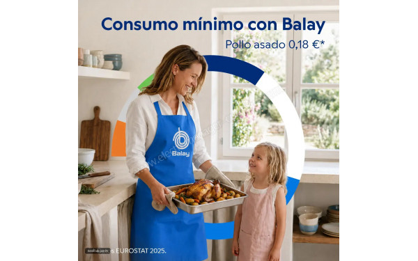 BALAY 3HD5829B3 - Mise en situation