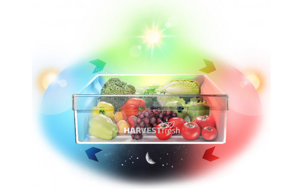 BEKO BCNE400E40SN - Bac HarvestFresh