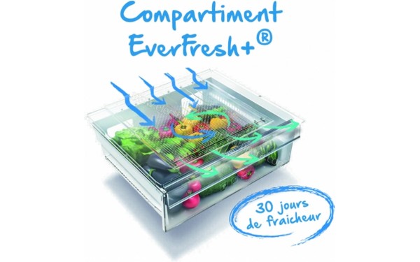 BEKO CRCNE450K20DZXB - Vue du dessus de bac &agrave; l&eacute;gumes