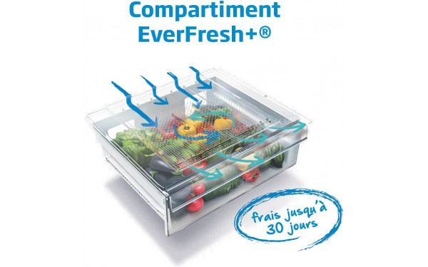 BEKO GN163131ZIEN - Mise en situation