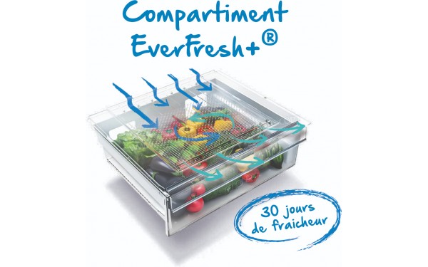 BEKO RCNA406K30ZXP - Vue du bac EverFresh+