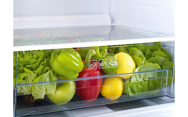 BEKO TSE1264FMGN - Bac fra&icirc;cheur