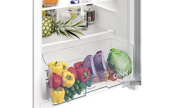 BEKO TSE1285NG - Bac fra&icirc;cheur