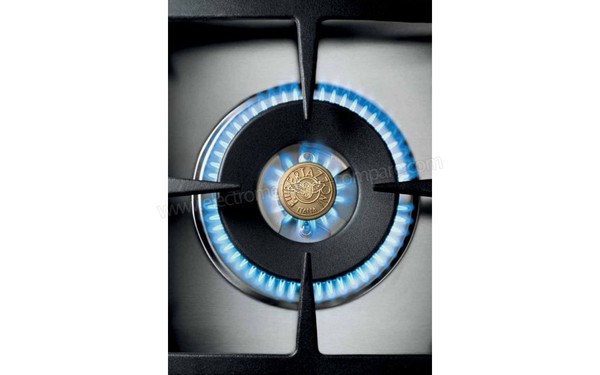 BERTAZZONI PRO 90 6 HYB S NE T - Zoom sur le foyer Wok