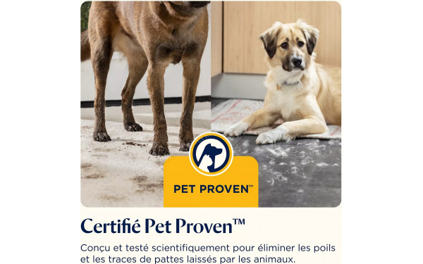 BISSELL CrossWave OmniForce EdgeFind Pro - Mise en situation