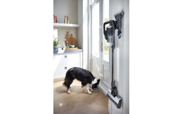 BISSELL Icon Pet 25V - Mise en situation