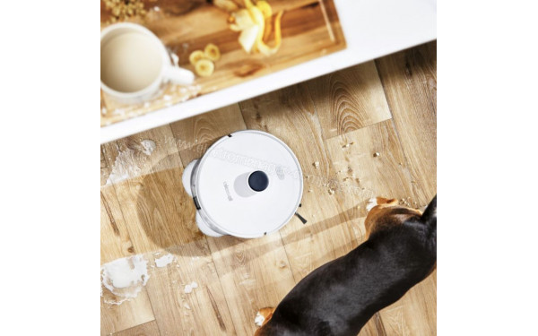 BISSELL SpinWave R5 Pet - Mise en situation