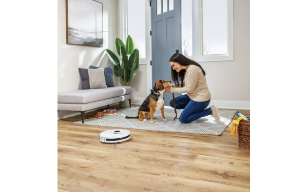 BISSELL SpinWave R5 Pet - Mise en situation