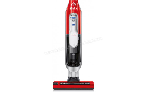 BOSCH BBH6256P1 - Vue du collecteur et de la brosse