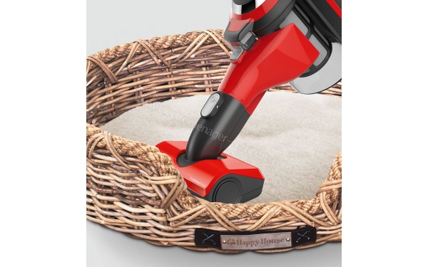 BOSCH BBS1ZOO - Vue de la brosse meuble