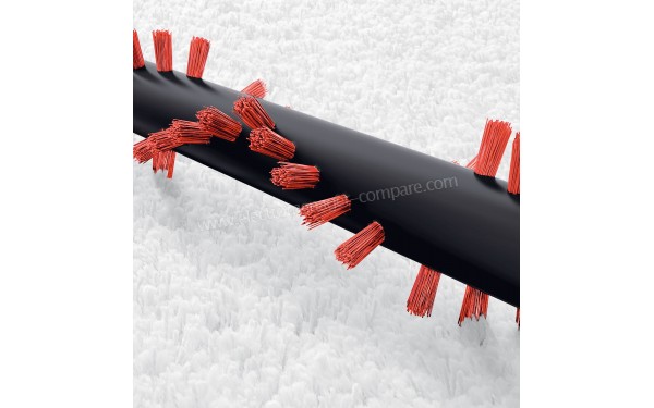 BOSCH BBS1ZOO - Vue du rouleau de la brosse