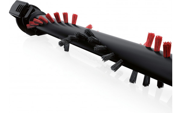 BOSCH BCH6LNG25 - Vue du rouleau de la brosse