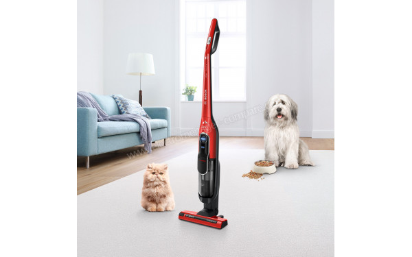BOSCH BCH86PET2 - Mise en situation