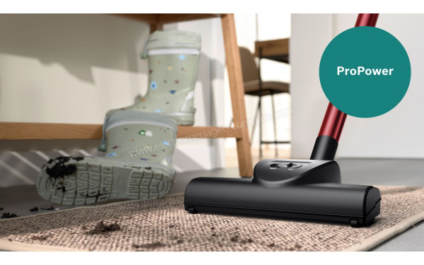 BOSCH BGB41POW1 - Brosse ProPower