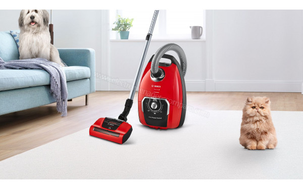 BOSCH BGB8PET1 - Mise en situation