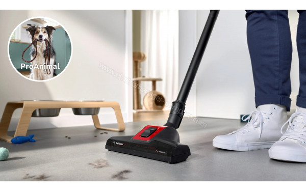 BOSCH BGL6PET3 - Mise en situation