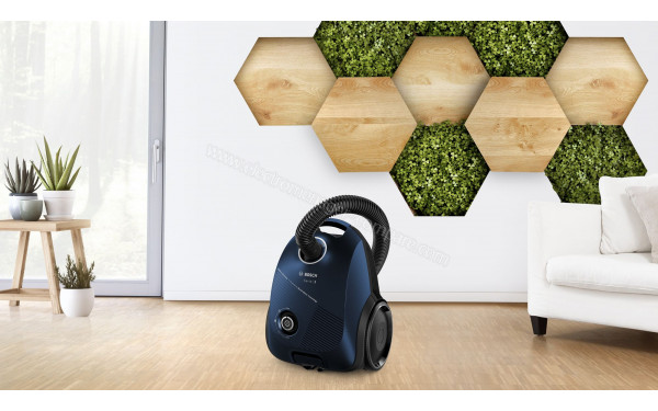 BOSCH BGLS2BU2 - Mise en situation