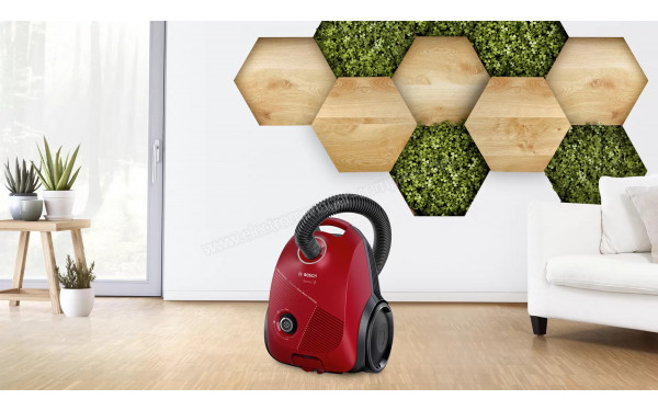 BOSCH BGLS2RD1 - Mise en situation