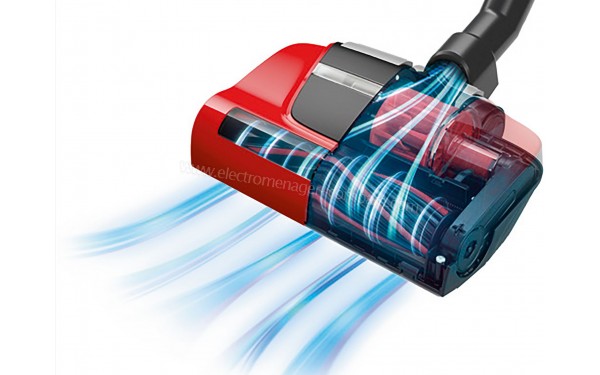 BOSCH BGS41PET1 - Vue de la brosse principale