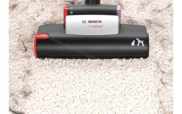 BOSCH BSGL5ZOODE - Trubro brosse (vue de face 2)