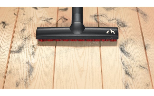 BOSCH BSGL5ZOODE - Brosse parquet (2)