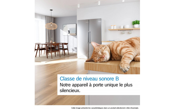 BOSCH KSN36AICM - Mise en situation