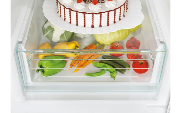 CANDY C3CETFS186 - Bac fra&icirc;cheur