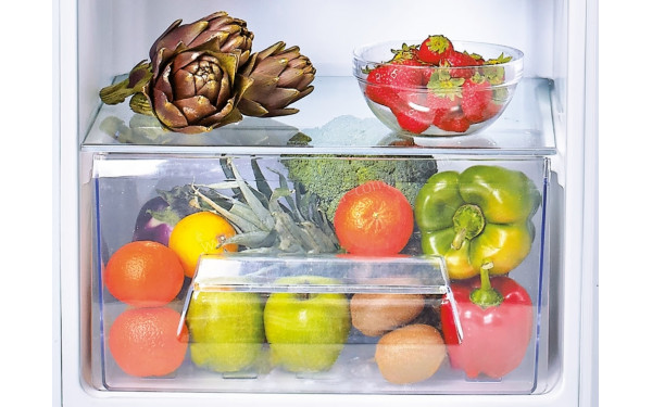 CANDY CIL220EE/NCM - Bac fra&icirc;cheur