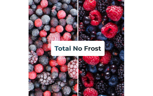 CECOTEC Bolero CoolMarket Combi 356 Glass Grey D - Technologie Total No Frost