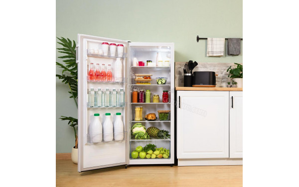 CECOTEC Bolero CoolMarket 1D 242 - Mise en situation