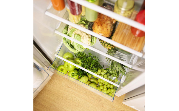 CECOTEC Bolero CoolMarket 1D 242 - Vue de l'int&eacute;rieur partie r&eacute;frig&eacute;rateur