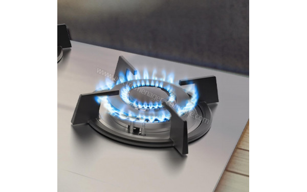 CECOTEC Bolero Squad G 3200S Inox - Zoom sur le foyer Wok