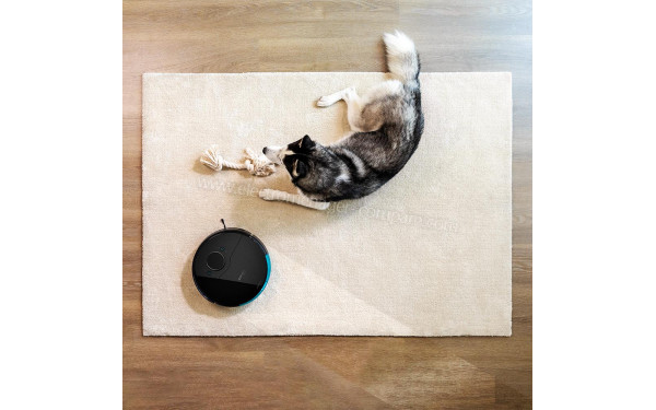 CECOTEC Conga 8090 Ultra - Mise en situation