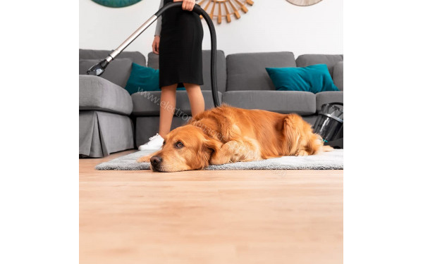 CECOTEC Conga Popstar 3000 X-Treme Animal Pro - Mise en situation