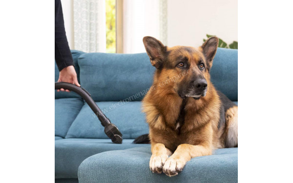 CECOTEC Conga PopStar 4000 Ultimate Animal Pro - Mise en situation