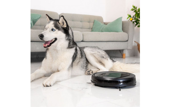 CECOTEC Conga 1990 Connected X - Mise en situation