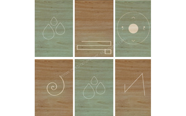 CECOTEC Conga 2499 Ultra Genesis - Mise en situation