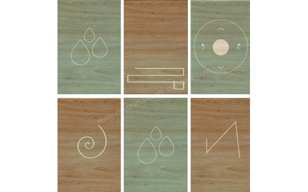 CECOTEC Conga 2499 Ultra X-Treme - Mise en situation