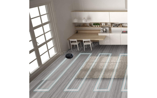 CECOTEC Conga 1590 Active - Mise en situation