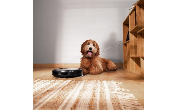 CECOTEC Conga 1990 Titanium - Mise en situation