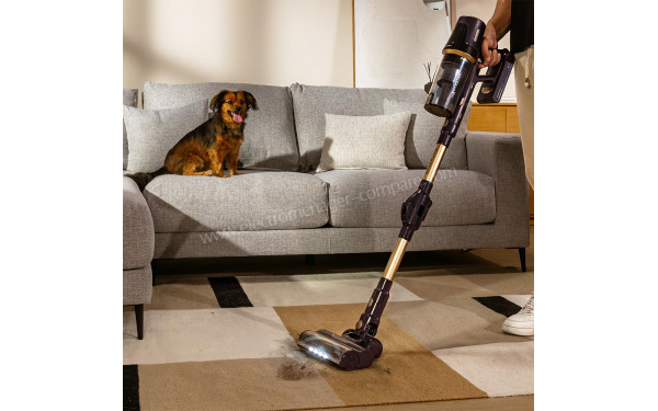 CECOTEC Conga Rockstar RS70 Pet Flex - Mise en situation