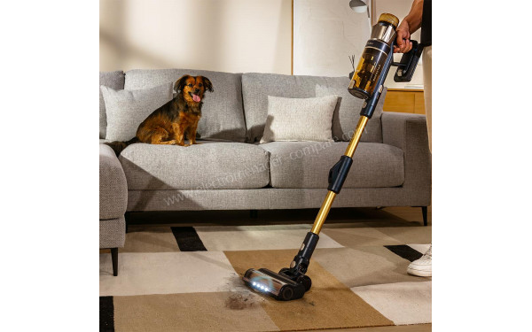 CECOTEC Conga Rockstar RS90 Pet Flex - Mise en situation